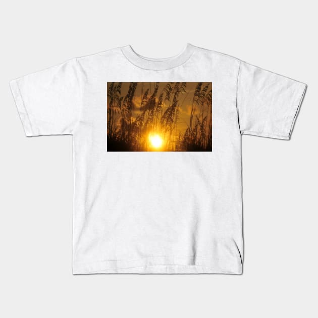 Sea Oats sunset Kids T-Shirt by dltphoto